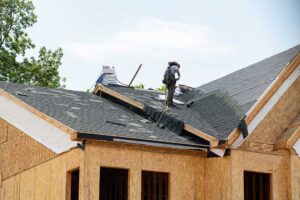 Roof inspection beside solar panels on a pitched home roof with rails, shingles, and winter trees nearby.