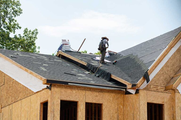 Roof inspection beside solar panels on a pitched home roof with rails, shingles, and winter trees nearby.